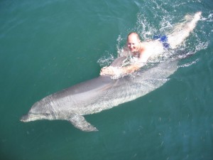 плаваю с дельфином